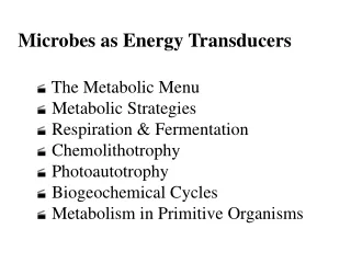 Microbes as Energy Transducers