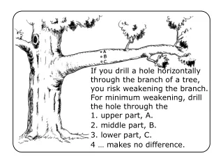 1. upper part, A. 2. middle part, B. 3. lower part, C. 4 … makes no difference.