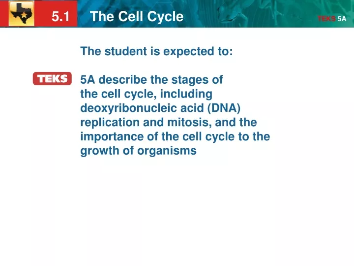 the student is expected to 5a describe the stages