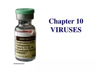 Chapter 10 VIRUSES