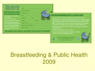 Breastfeeding &amp; Public Health  2009