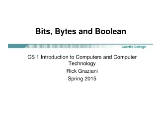 Bits, Bytes and Boolean