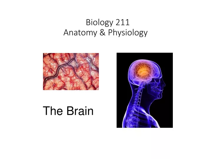 biology 211 anatomy physiology i