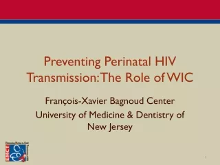 Preventing Perinatal HIV Transmission: The Role of WIC
