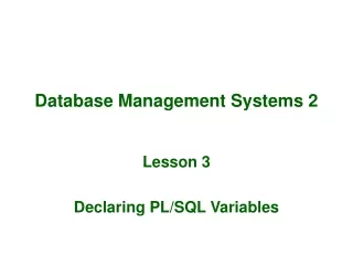 Database Management Systems 2