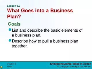 Lesson 3.2 What Goes into a Business Plan?