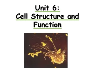Unit 6:  Cell Structure and Function