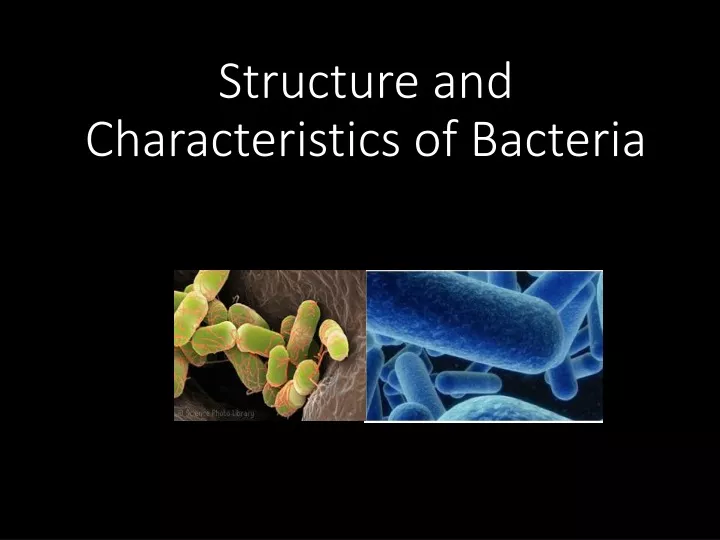 structure and characteristics of bacteria