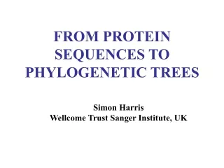 FROM PROTEIN SEQUENCES TO PHYLOGENETIC TREES