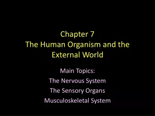 Chapter 7 The Human Organism and the External World