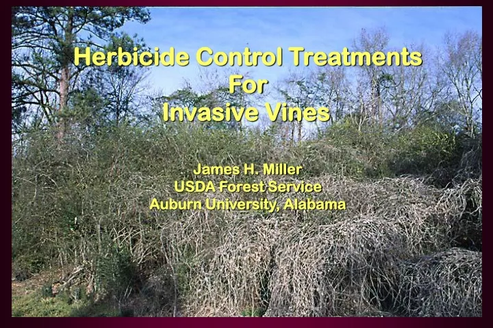 herbicide control treatments for invasive vines