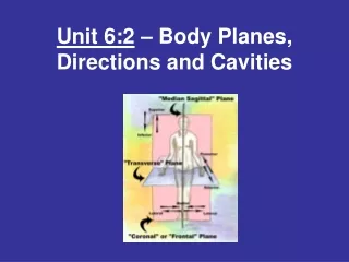 Unit 6:2  – Body Planes, Directions and Cavities