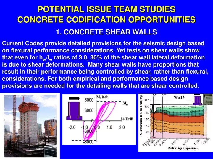 potential issue team studies concrete codification opportunities