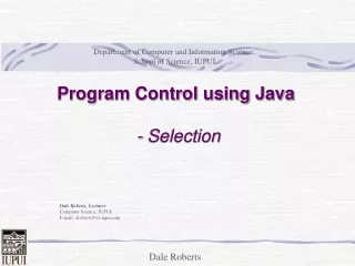 Program Control using Java  - Selection