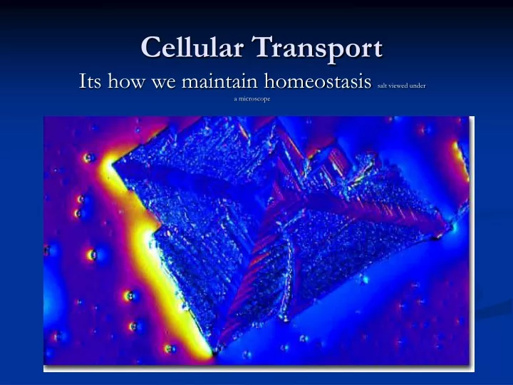 its how we maintain homeostasis salt viewed under a microscope