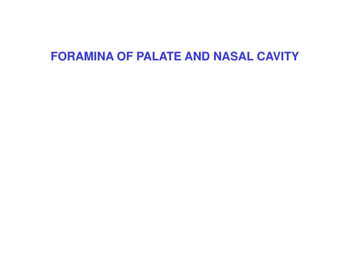 foramina of palate and nasal cavity