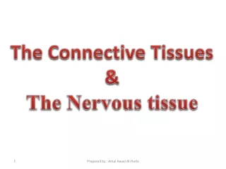 The Connective Tissues &amp; The Nervous tissue