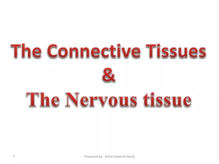 the connective tissues the nervous tissue