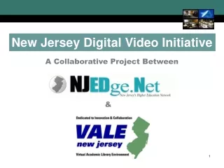 New Jersey Digital Video Initiative