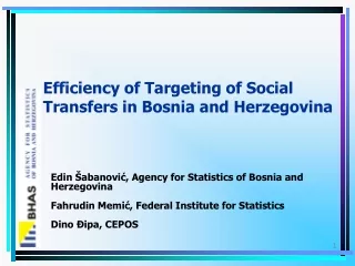 Efficiency of Targeting of Social Transfers in Bosnia and Herzegovina