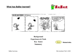 What has BaBar learned?