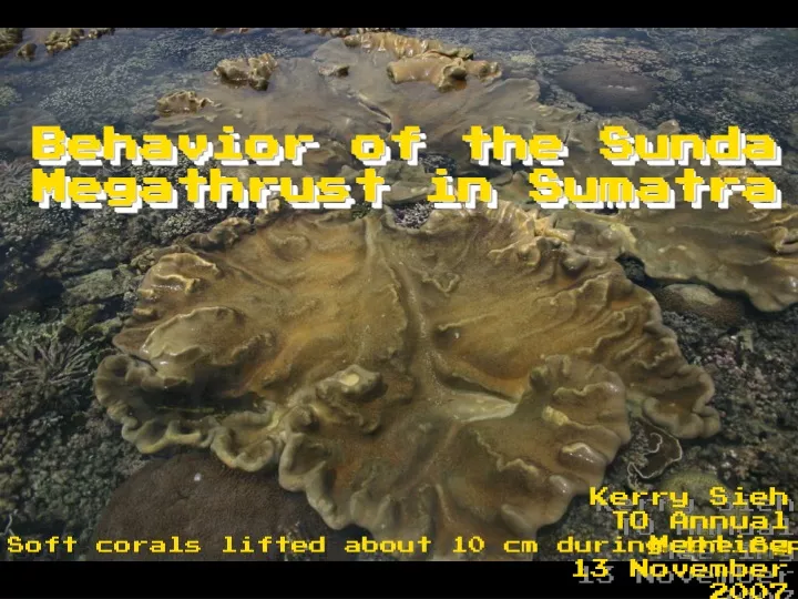 behavior of the sunda megathrust in sumatra