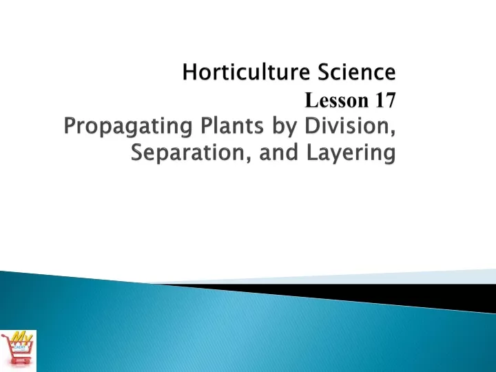 horticulture science lesson 17 propagating plants by division separation and layering
