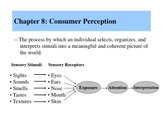 Chapter 8: Consumer Perception