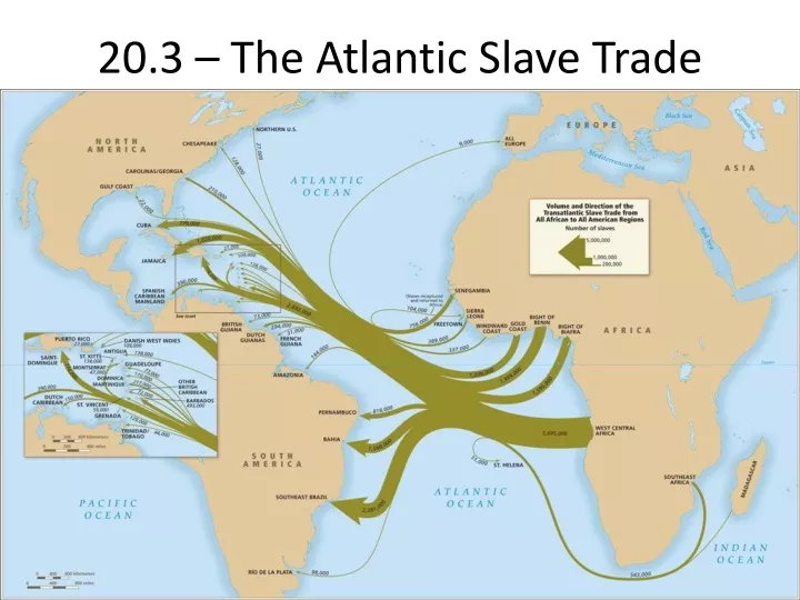 20 3 the atlantic slave trade