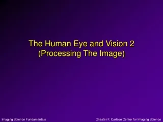 The Human Eye and Vision 2 (Processing The Image)