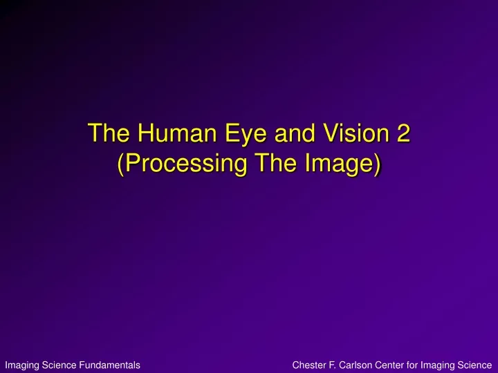 the human eye and vision 2 processing the image