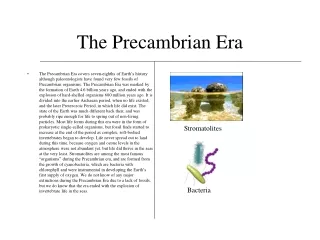 The Precambrian Era