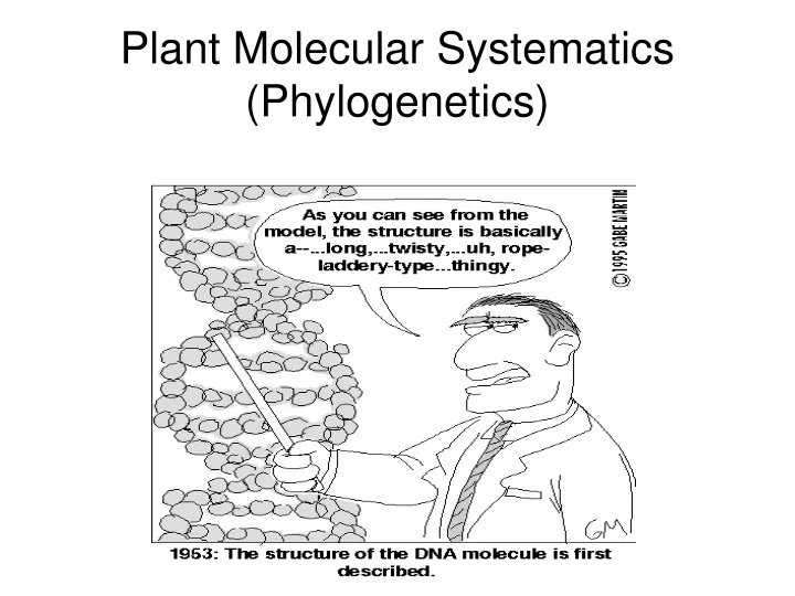 plant molecular systematics phylogenetics