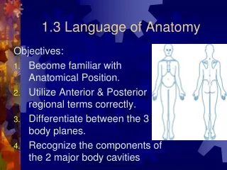 1.3 Language of Anatomy