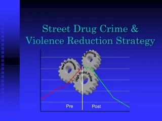 Street Drug Crime &amp; Violence Reduction Strategy