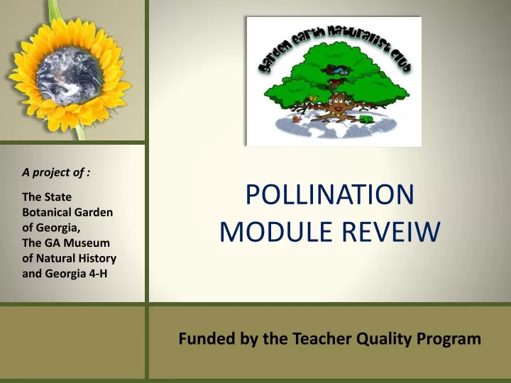 pollination module reveiw