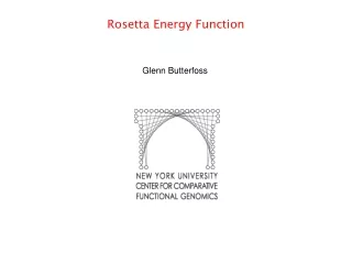 Rosetta Energy Function