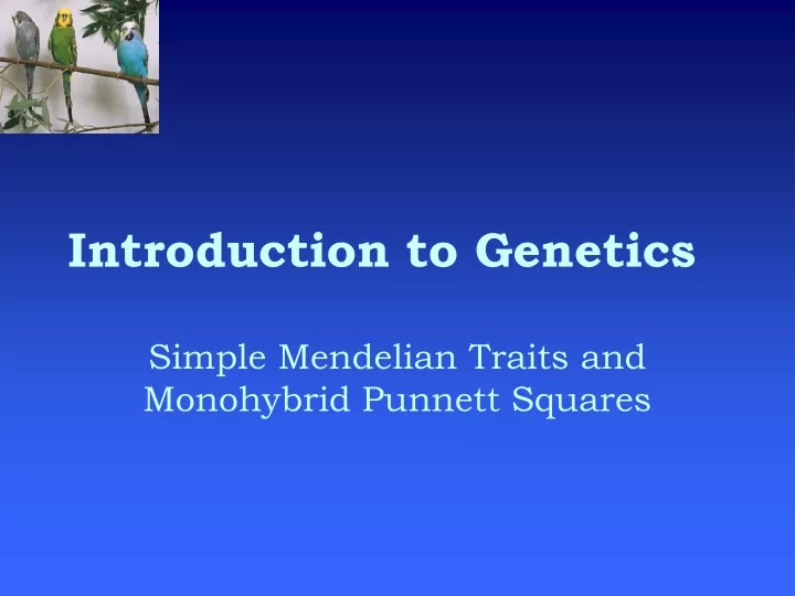 introduction to genetics