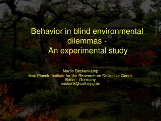 Behavior in blind environmental dilemmas -  An experimental study