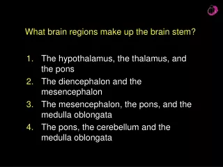 What brain regions make up the brain stem?