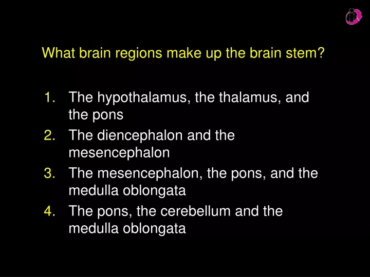 what brain regions make up the brain stem