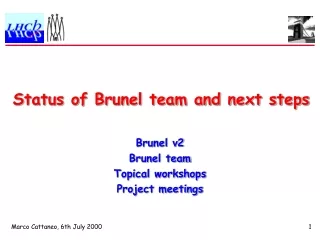 Status of Brunel team and next steps
