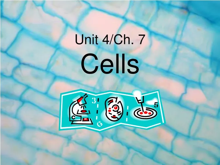 unit 4 ch 7 cells