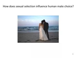 How does sexual selection influence human mate choice?