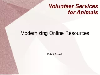 Volunteer Services  for Animals