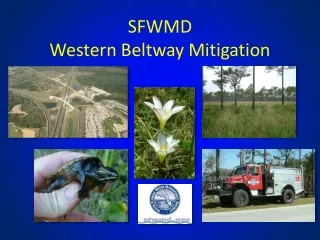 SFWMD  Western Beltway Mitigation