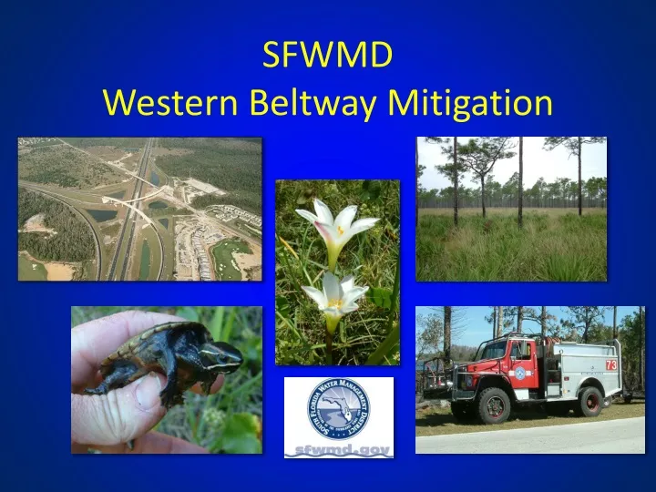 sfwmd western beltway mitigation