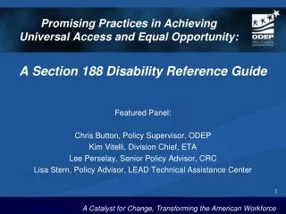 Promising Practices in Achieving   Universal Access and Equal Opportunity: