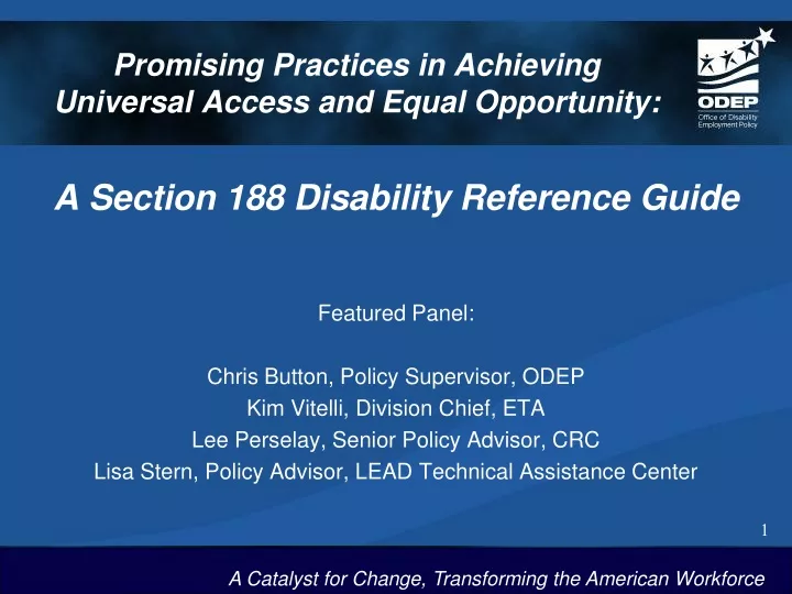 promising practices in achieving universal access and equal opportunity