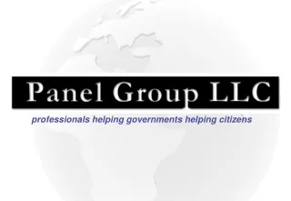 professionals helping governments helping citizens